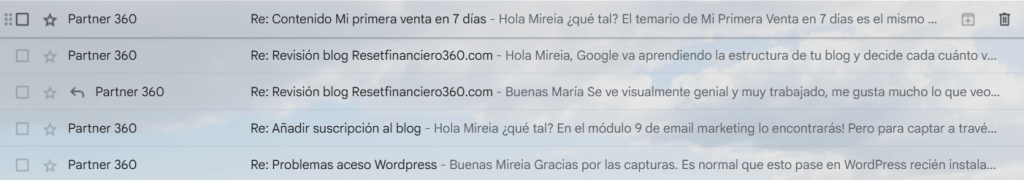 partner 360 opiniones